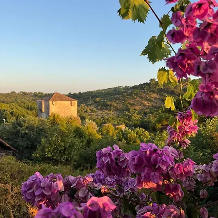 דירה Stylish Stone House For Two Kolocep Island